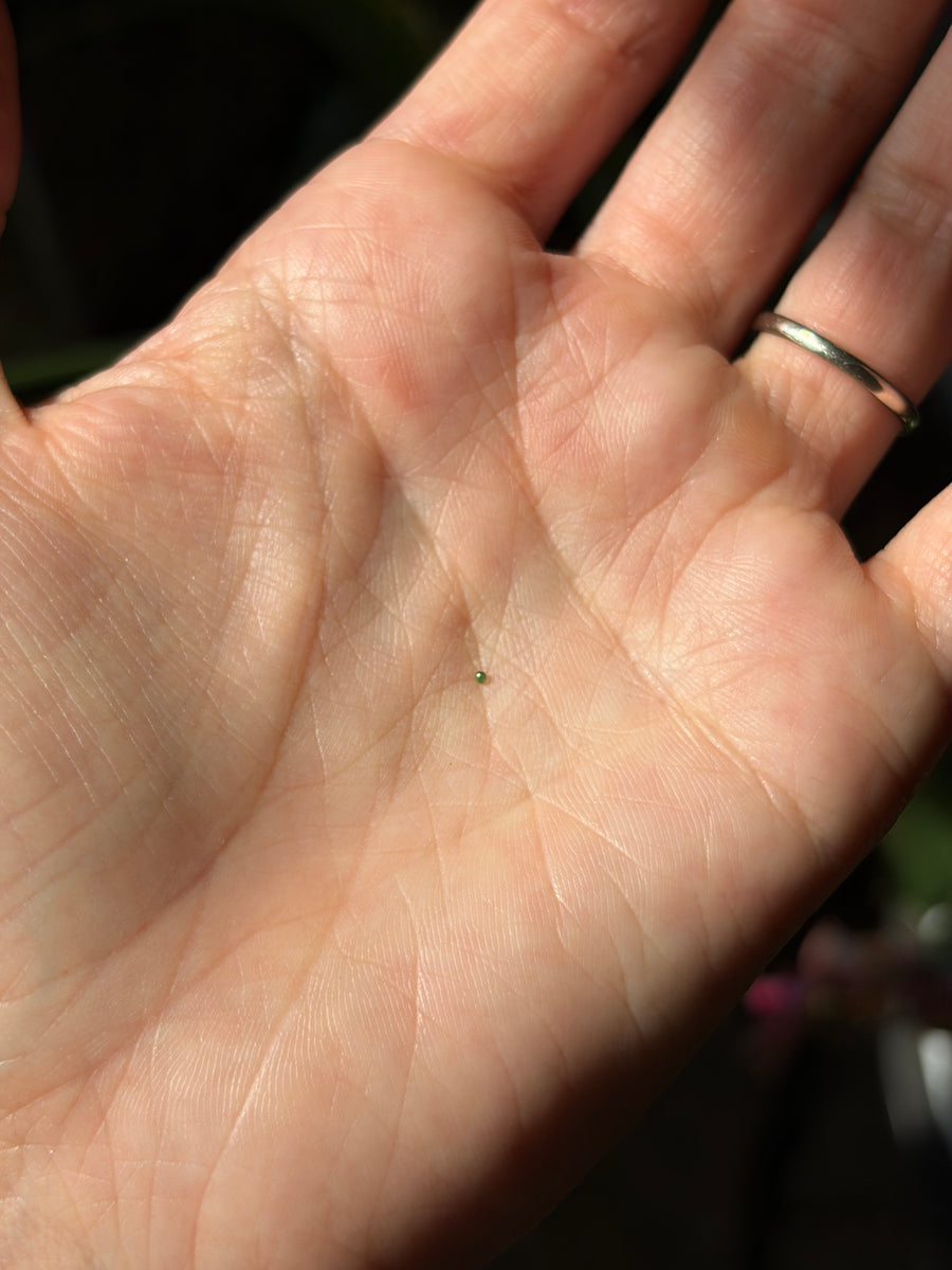 Hidden object photo