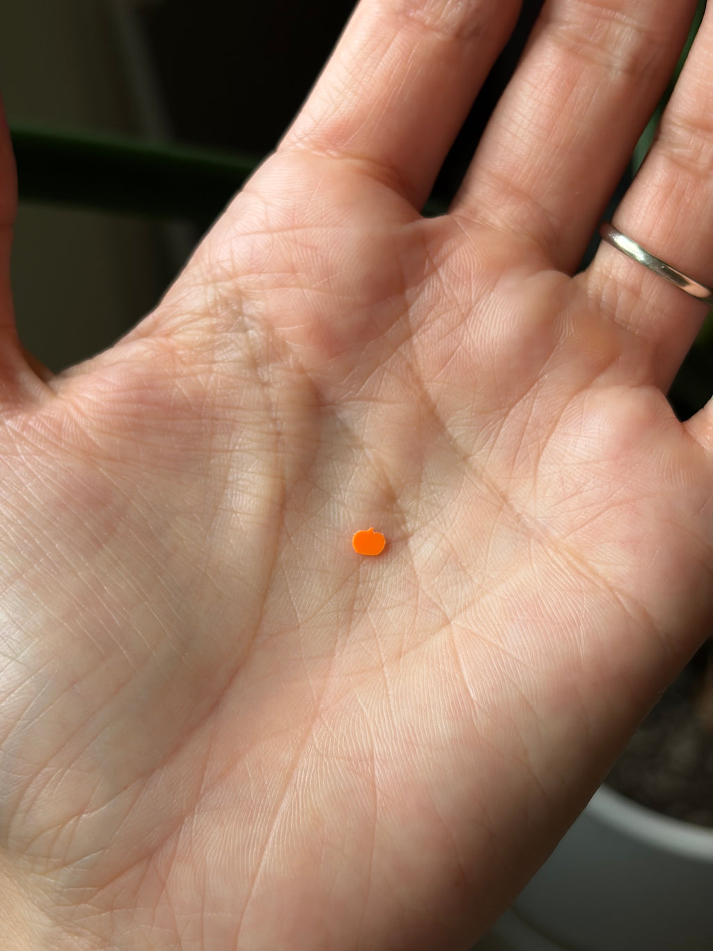 Summerween Chill Pill Charm